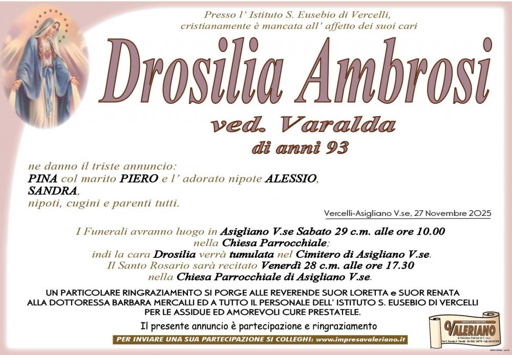 DROSILIA AMBROSI